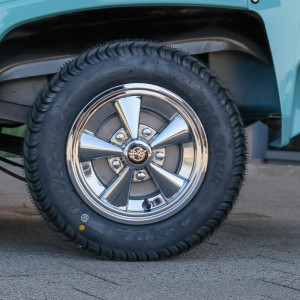0004 10 Hub Caps